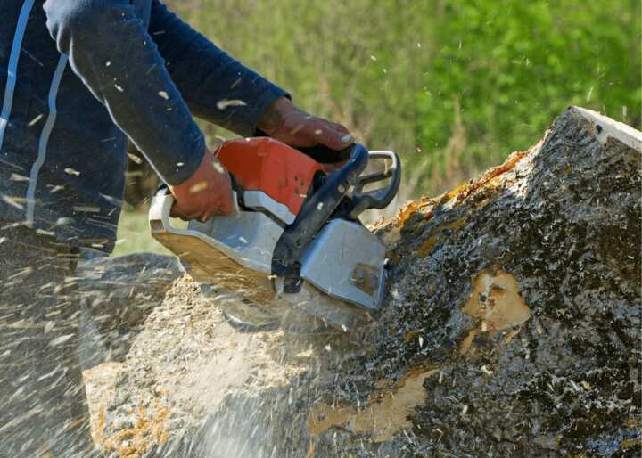 Tree Stump Removal Tulsa OK
