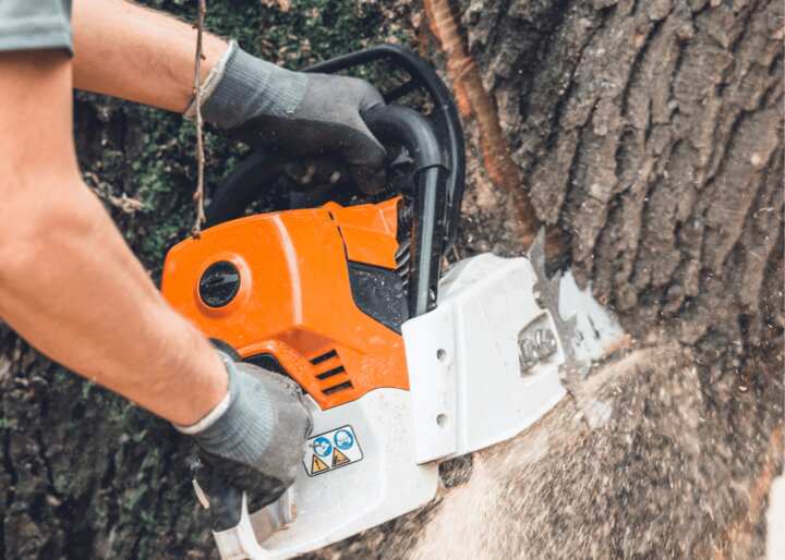 Tree Stump Removal Tulsa OK